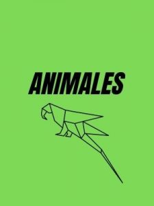 Libros colorear animales